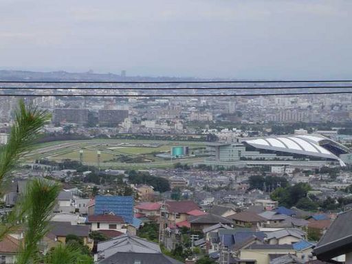 阪神競馬場♪