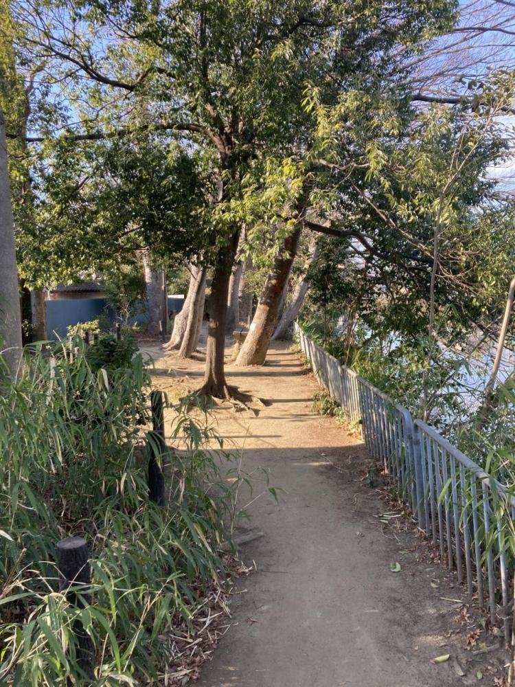 神明六木遊歩道。垳川沿い、木漏れ日の射す水辺の遊歩道です。休日のお散歩にも最適です。